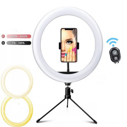 10 inch Selfie Whitening Ring Light